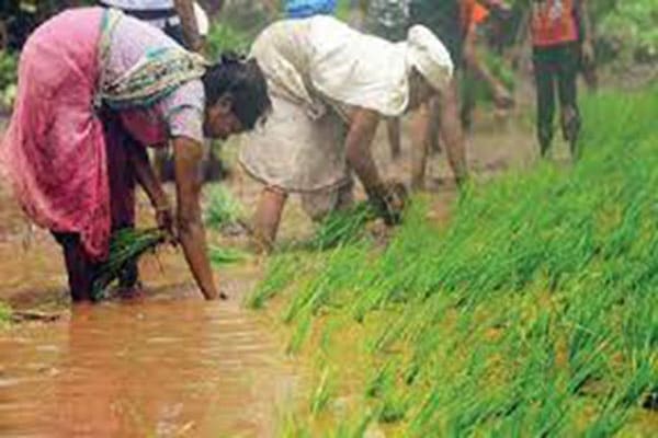 गावों के नवीनीकरण के लिए क्रमबद्ध ढंग से योजनाओं का संचालन आवश्यक- विजय राजभर