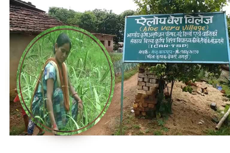 मन की बात कार्यक्रम में पीएम मोदी ने की एलोवेरा विलेज की तारीफ, जानिए क्या है खास