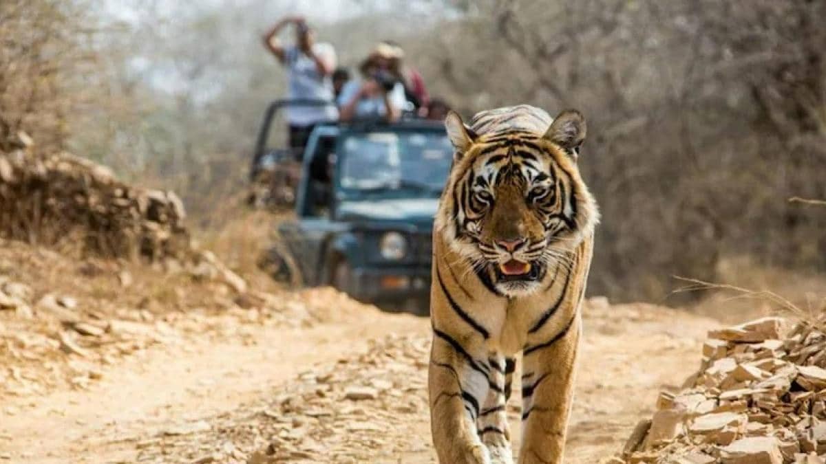 नामकरण के लिए तैयार विश्व प्रसिद्ध जिम कॉर्बेट पार्क ,