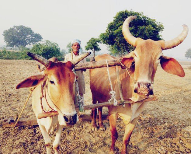 समय बदल गया, लौटे पुराने दिन, क्या इसी समय का था इंतजार?