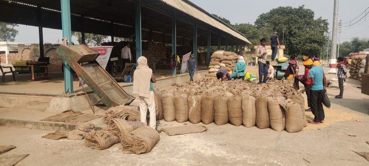 धान बिक्री की समस्या का कोई समाधान न होने से किसान परेशान चल रहे तीन रेट |
