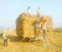 सरकार ने पराली समस्या का निकला समाधान ,किसानो को दी राहत  |