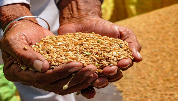 अब बदला राशन लेने का नियम, जानें पूरी खबर