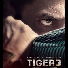सलमान खान की दोनों फिल्मों के लिए फैंस को करना होगा लंबा इंतजार, रिलीज डेट टली