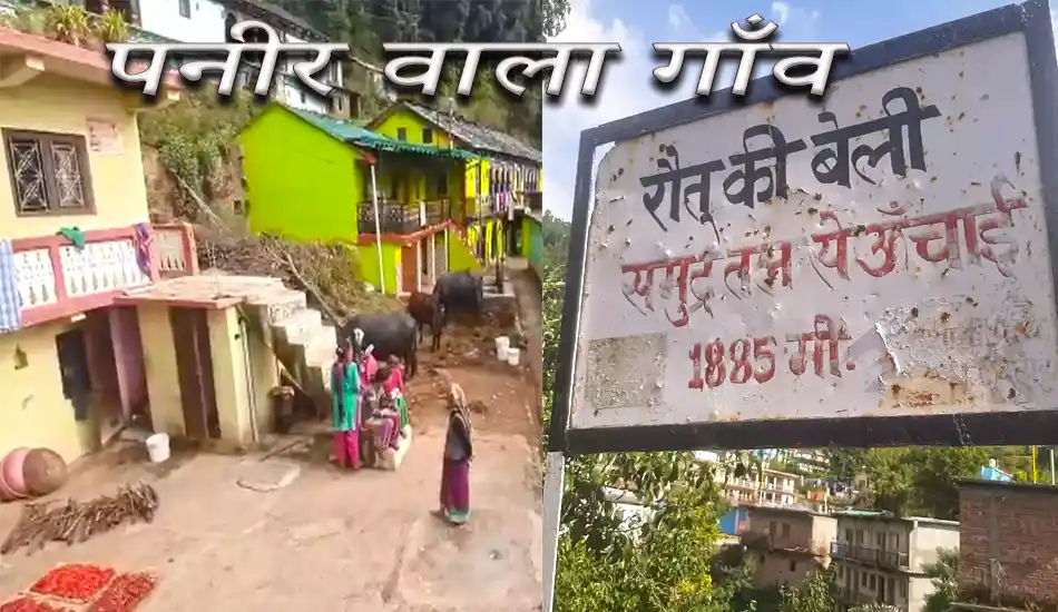 पनीर वाला गांव....यहां स्वादिष्ट पनीर बना रोजगार का जरिया