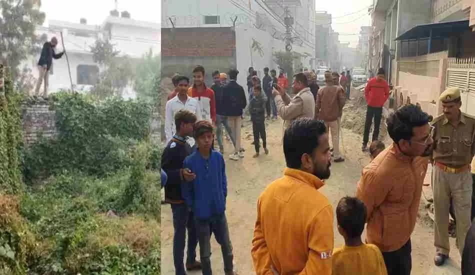 मेरठ शहर में घुसा तेंदुआ, इलाके में दहशत,सर्च ऑपरेशन जारी