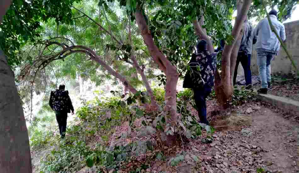 मेरठ शहर में फिर सीसीटीवी में नजर आया तेंदुआ, इस बार जागृति विहार में मचा हड़कंप 