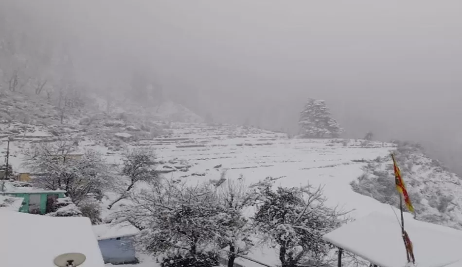 उत्तराखंड में मौसम ने ली करवट, मसूरी- धनोल्टी में जमकर बर्फबारी, पर्यटकों के खिले चेहरे