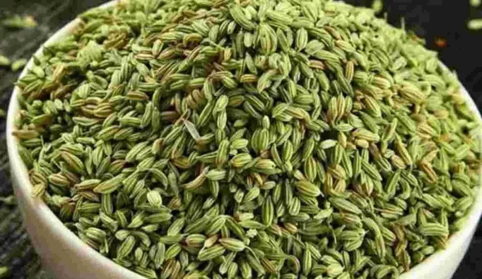 जानें सौंफ खाने के चमत्कारी फायदे...