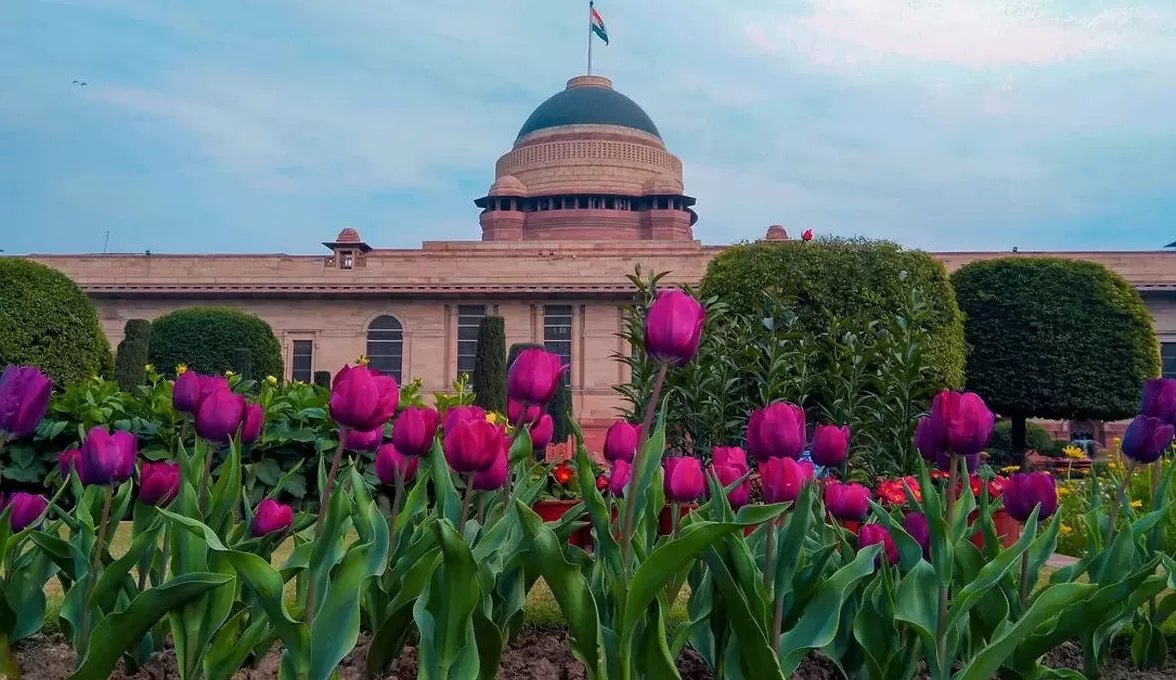 Mughal Garden: क्या था मुगल गार्डन का पूरा इतिहास, आम लोगों को जाने से थी मनाही