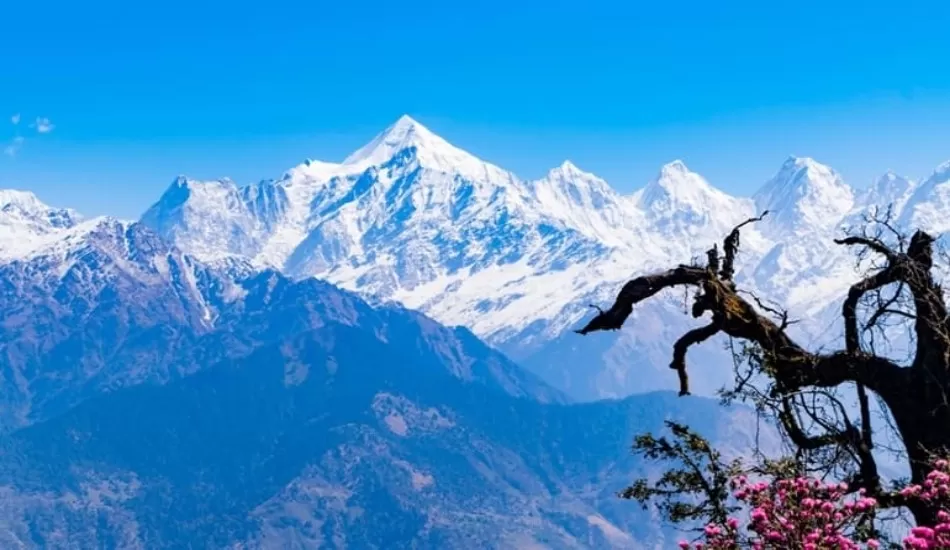 उत्तराखंड के इस हिल स्टेशन को मिला बेस्ट Best Mountain Destination Award, आप भी एक बार जरूर करें दीदार
