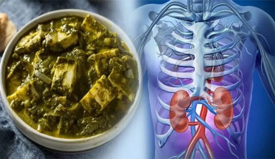 एक साथ नहीं खाना चाहिए पालक-पनीर, हो सकता है ये बड़ा नुकसान...