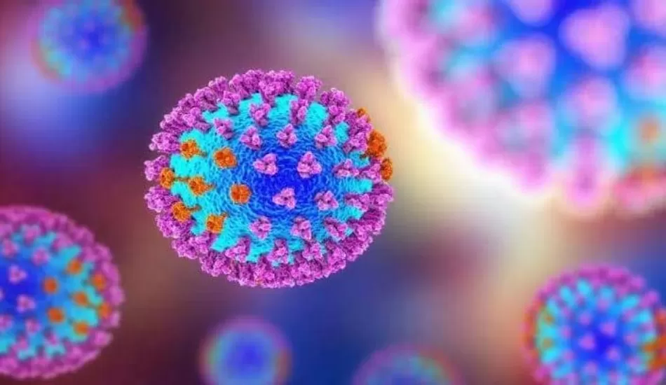 देश में तेजी से फैल रहा H3N2 इन्फ्लूएंजा वायरस, 2 मरीजों की मौत