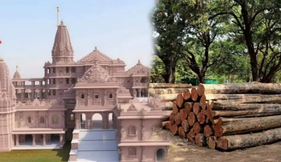 राम मंदिर के लिए होगा इन लकड़ियों का इस्तेमाल...