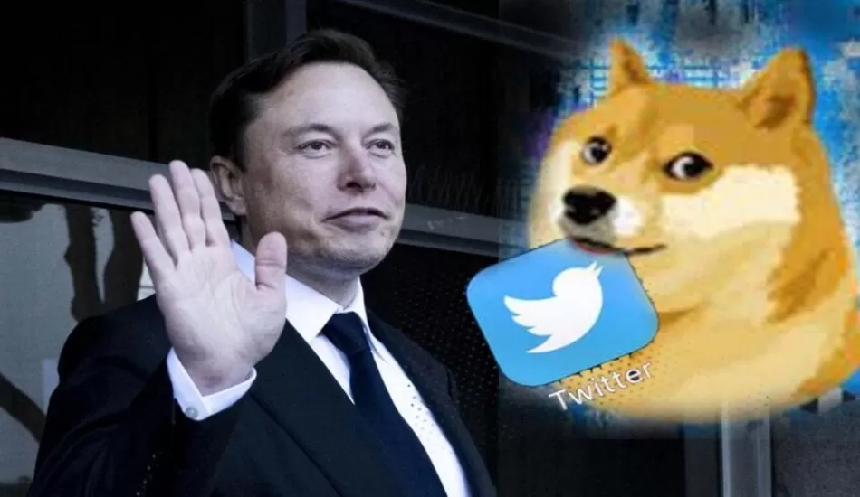 एलन मस्क ने बदला Twitter का LOGO, चिड़िया उड़ाकर लगाई Doge की तस्वीर