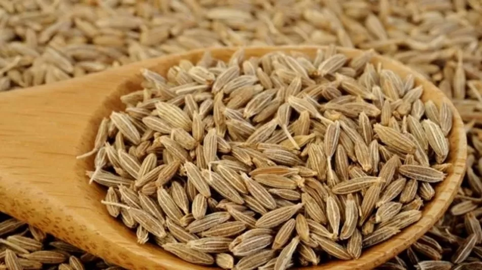 Tips: बालों का दोस्त है आपकी रसोई का जीरा