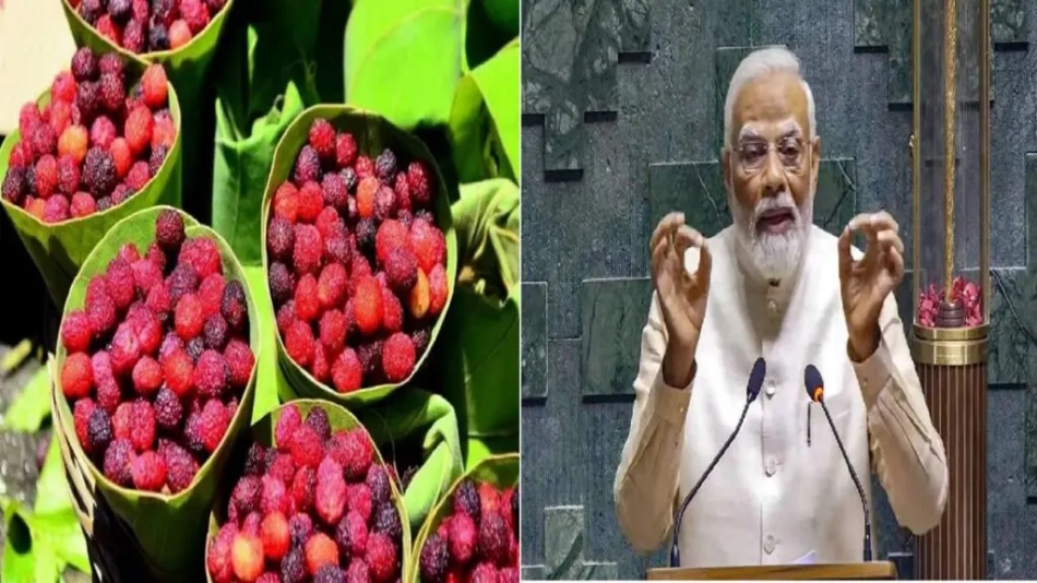 पीएम मोदी को भाए उत्तराखंड के काफल, कहा रसीले और दिव्य मौसमी फल है काफल