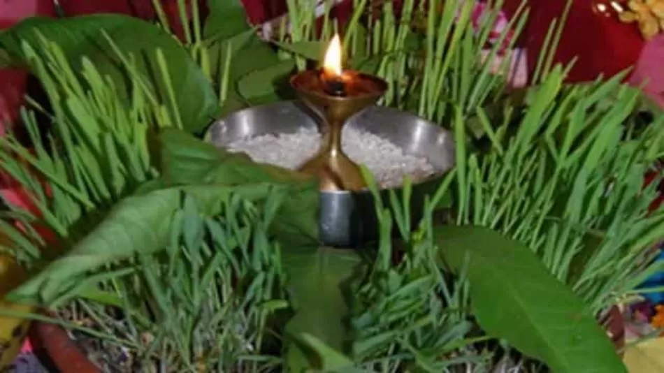 16 या फिर 17 जुलाई, जानें कब है हरेला पर्व पर अवकाश और उत्तराखंड में क्यों मनाते हैं इसे...