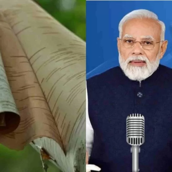 पीएम मोदी ने मन की बात में उत्तराखंड के भोजपत्र का किया जिक्र, कहा मेरी माटी मेरा देश अभियान होगा शुरु