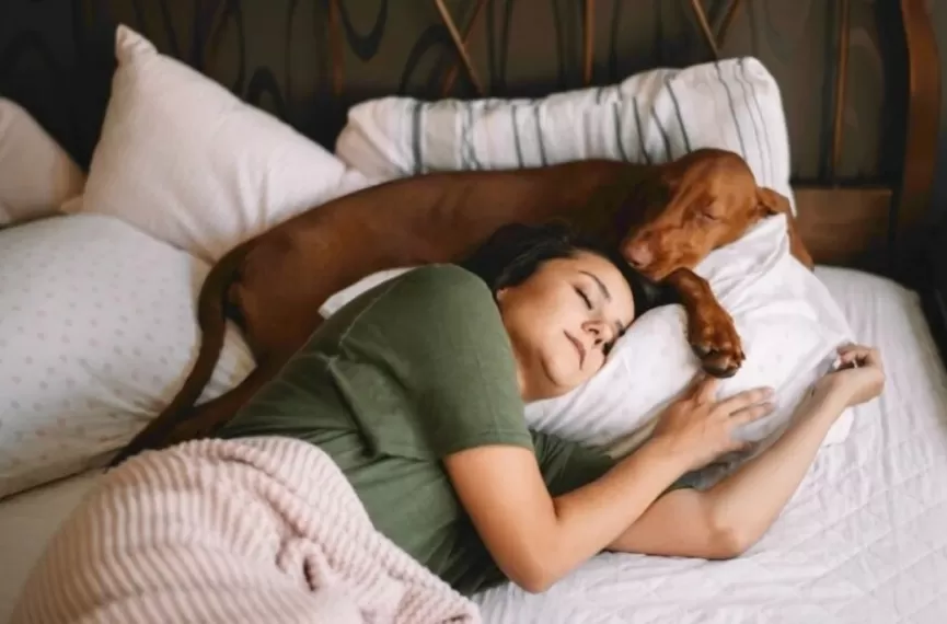 Pets के साथ सोते हैं तो तुरंत हो जाएं सावधान, शरीर में घुस सकते हैं जानलेवा बैक्टीरिया 