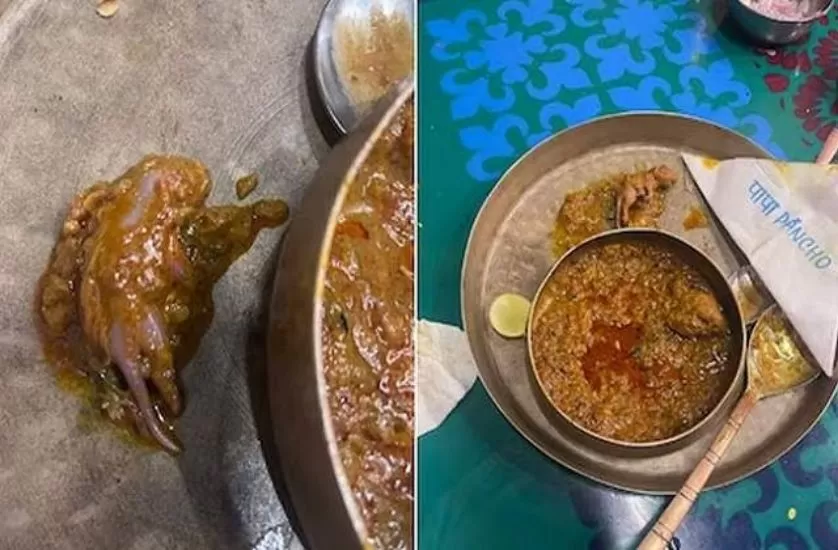 मुंबई के लोकप्रिय रेस्त्रां में चिकन डिश के साथ मरा हुआ चूहा परोसा, निवाला खाते ही स्वाद लगा अलग, शिकायत दर्ज