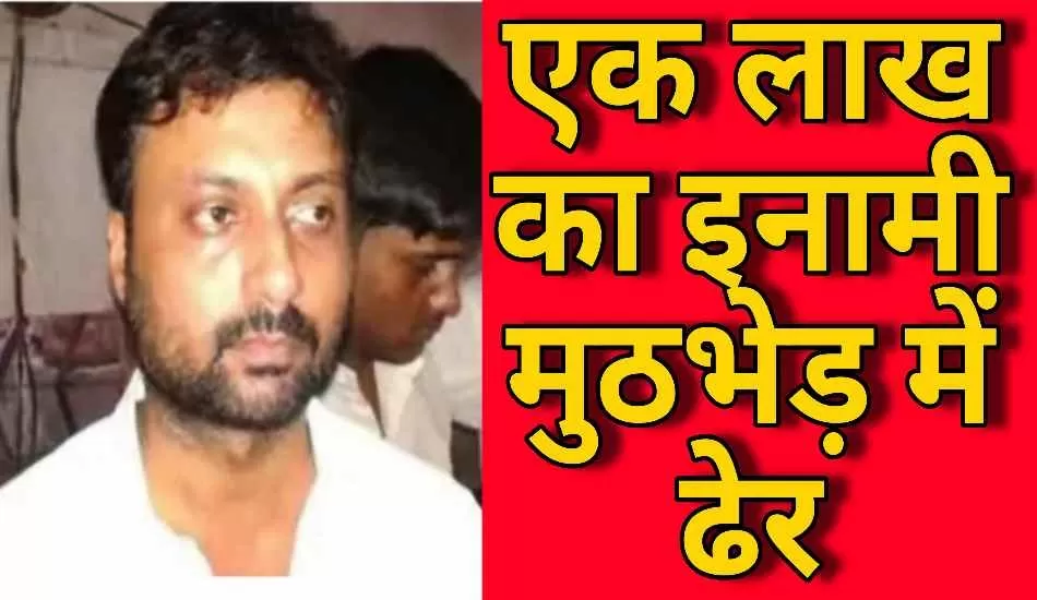एक लाख का इनामी माफिया विनोद उपाध्याय मुठभेड़ में ढेर