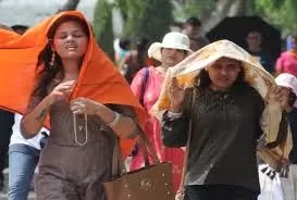 Heatwaves Alert: आग उगल रहा सूरज, तापमान 50 डिग्री के पास