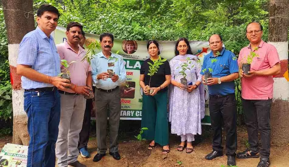 रोटरी क्लब मेरठ गैलेक्सी द्वारा सर्किट हाउस  में किया गया वृक्षारोपण