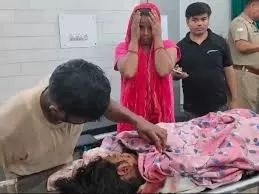 Bijnor: आंगन में बर्तन धो रही महिला पर बाघ का हमला, मौत