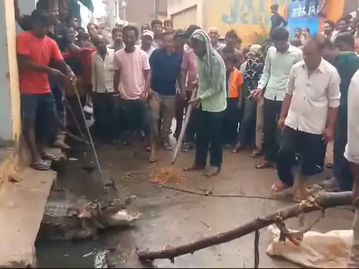Bijnor: गांव की सड़क पर टहलता दिखा मगरमच्छ