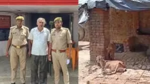 Bulandshahar: दस साल की मासूम से दुष्कर्म करने में कृषि अधिकारी गिरफ्तार