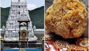 Tirupati Prasad Row: कोर्ट पहुंचा तिरुपति के लड्डुओं में चर्बी का मामला