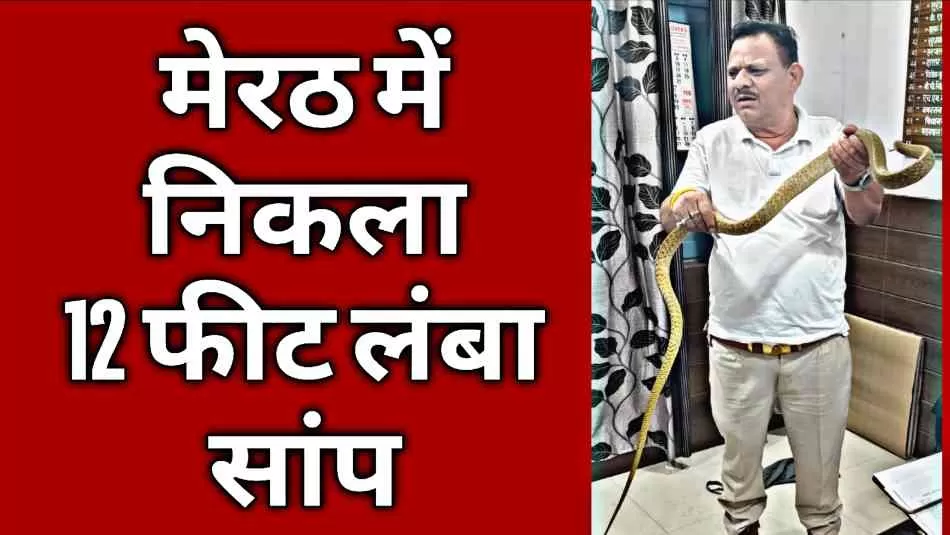 मेरठ की इस कॉलोनी में 12 फीट लंबा 