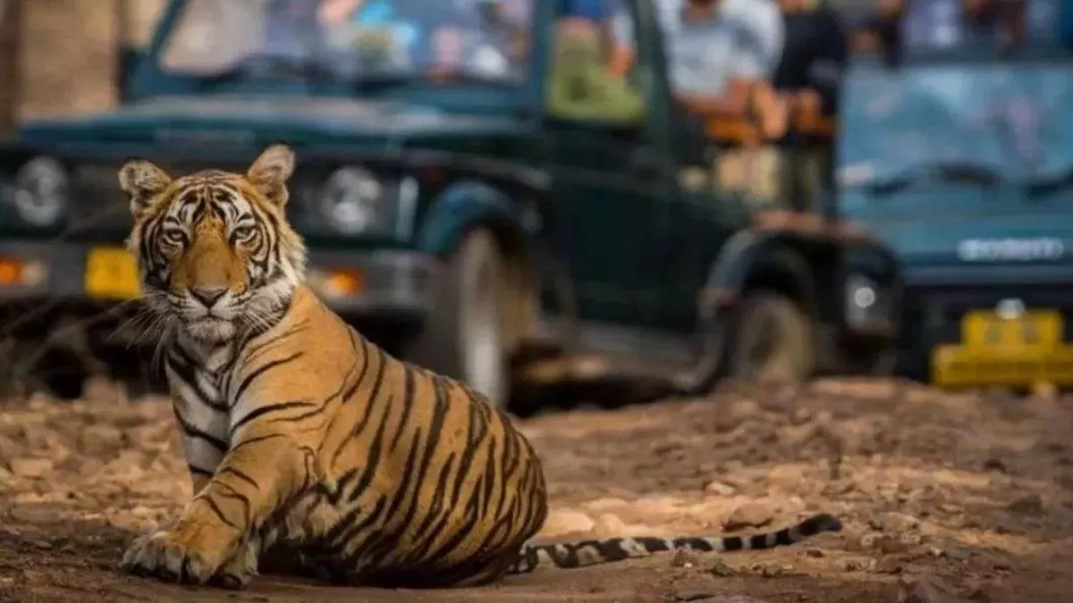 उत्तर प्रदेश के टाइगर रिज़र्व्स 15 जून से मॉनसून बंदी के लिए होंगे स्थायी रूप से बंद