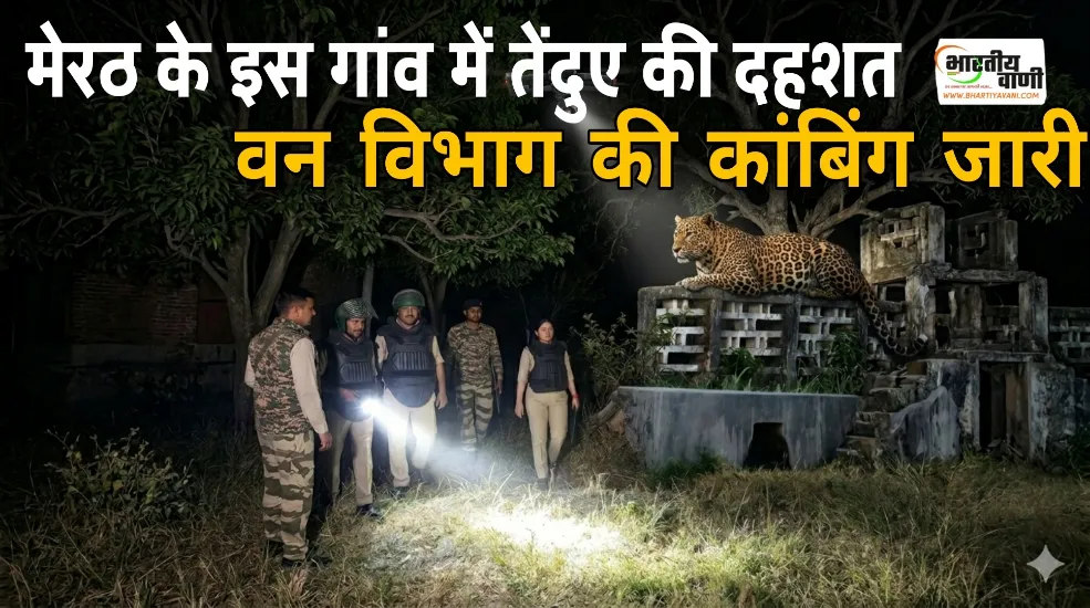 मेरठ के सनौता गांव में तेंदुए की दहशत, वन विभाग की 24 घंटे कॉम्बिंग जारी